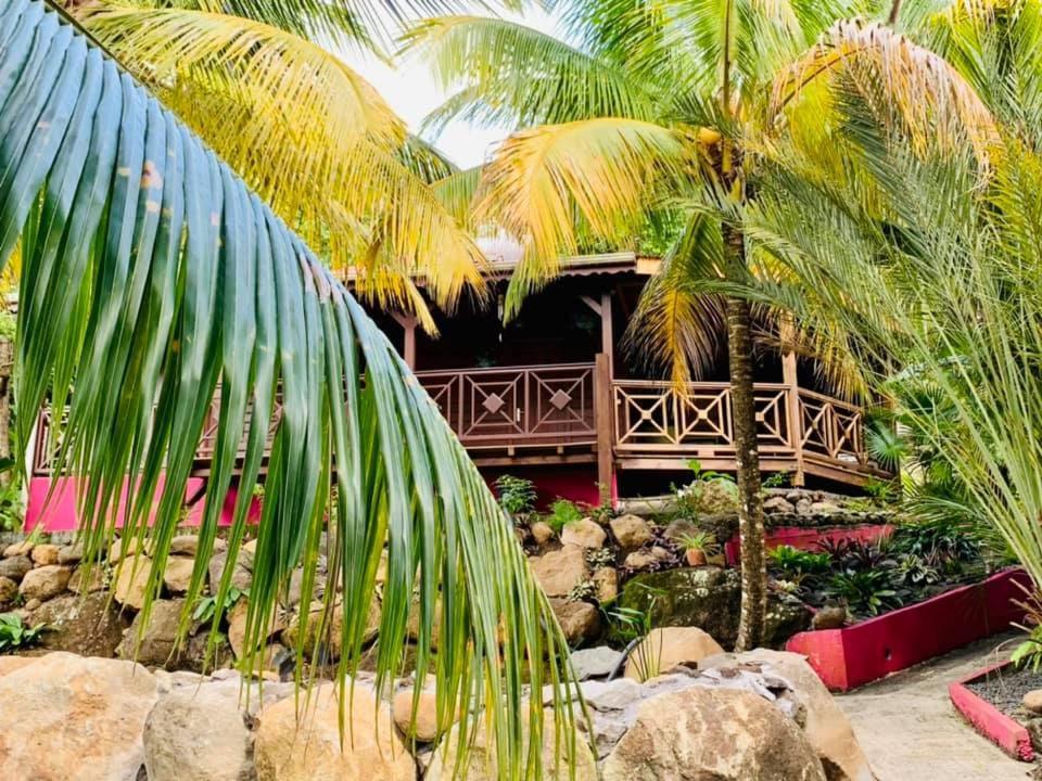 Hotel L'Ilot Palmiers Pointe-Noire Esterno foto